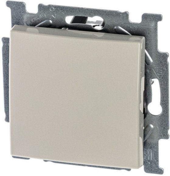 Выключатель 1-клавишный ABB BASIC55, скрытый монтаж, слоновая кость, 2CKA001012A2146 в Петрозаводске Выключатель 1-клавишный ABB BASIC55, скрытый монтаж, слоновая кость, 2CKA001012A2146 в Петрозаводске