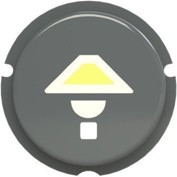 SBL-N2GR Кнопка освещение free@home, Zenit, серый, 2CLA202610N1402 в Петрозаводске