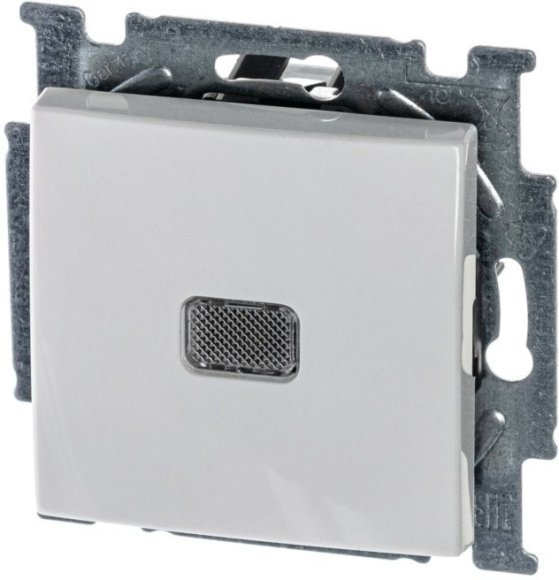 Выключатель 1-клавишный ABB BASIC55 с подсветкой, скрытый монтаж, альпийский белый, 2CKA001012A2153 в Петрозаводске Выключатель 1-клавишный ABB BASIC55 с подсветкой, скрытый монтаж, альпийский белый, 2CKA001012A2153 в Петрозаводске